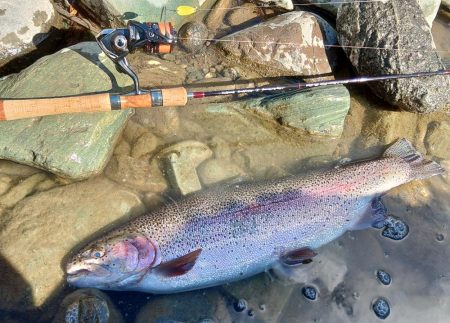 大物大漁となるはずが… ～天竜川ルアーフライ専用区～